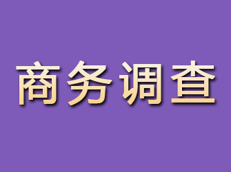 曲松商务调查